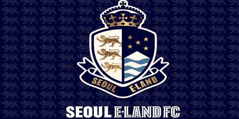 Discover the Rise of Seoul E-Land FC: A Football Revolution