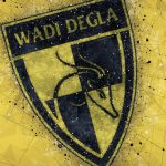 Wadi Degla FC