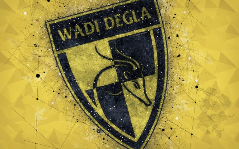 Wadi Degla FC